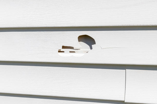 Storm Damage Siding Repair in Belton, SC